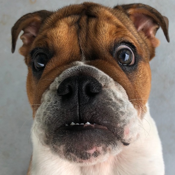 Meet your Posher, Yuliya - Picture 1 of 1